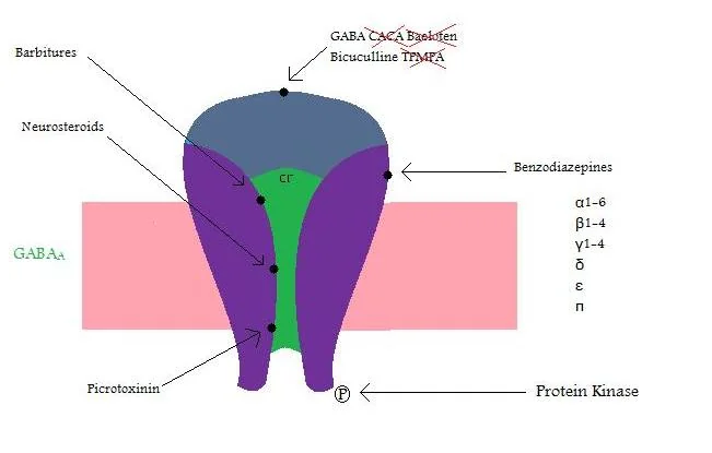 Schematic of a GABA-A receptor showing the central chloride channel and the separate binding sites for GABA, benzodiazepines, barbiturates, alcohol and neurosteroids around the receptor complex.