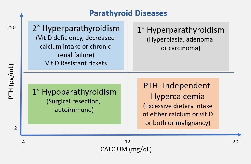 Chart plotting serum calcium against parathyroid hormone level, showing the distinct patterns produced by primary, secondary and tertiary hyperparathyroidism and by hypoparathyroidism and non-parathyroid hypercalcaemia.